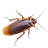 Bug report